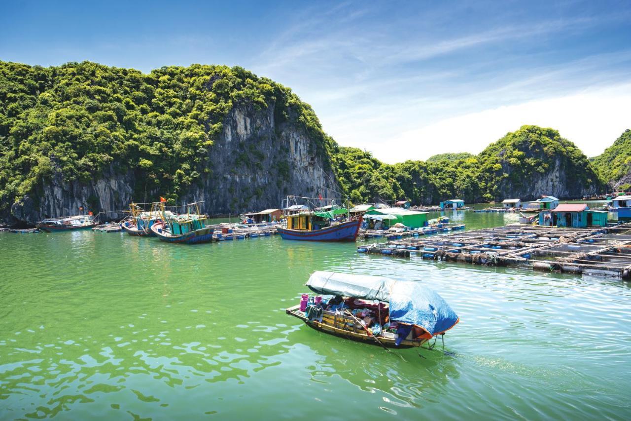 Hotel Sena Cruises - Wonder On Lan Ha Bay Ha Long Esterno foto
